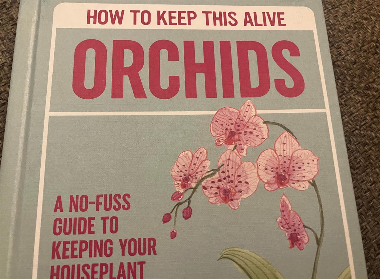 orchids